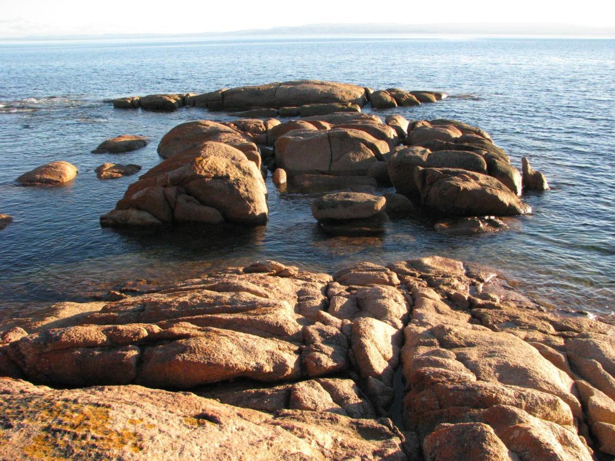 Pebble Shack Villa Coles Bay Luaran gambar